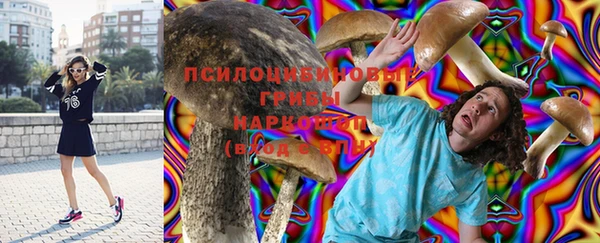 прущая мука Бронницы