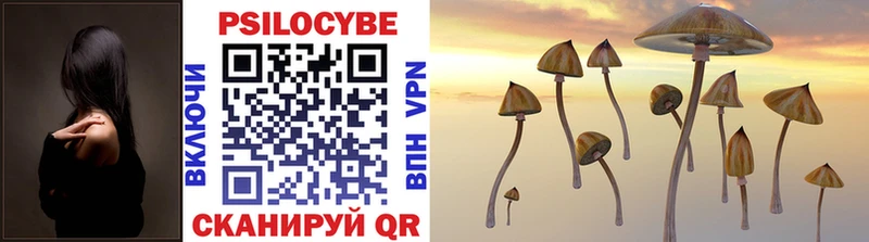 Галлюциногенные грибы Psilocybe  Зея 
