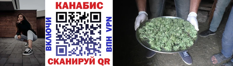 Конопля SATIVA & INDICA  Зея 
